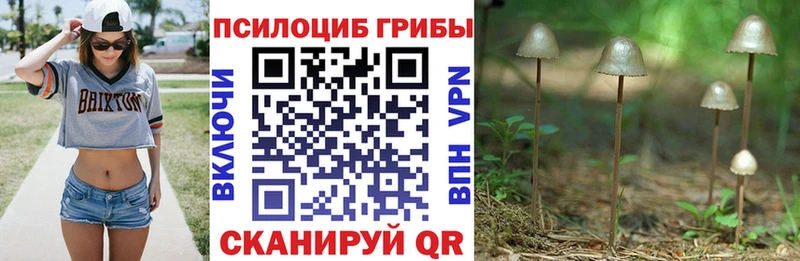 Псилоцибиновые грибы Magic Shrooms  ссылка на мегу ССЫЛКА  Чита 